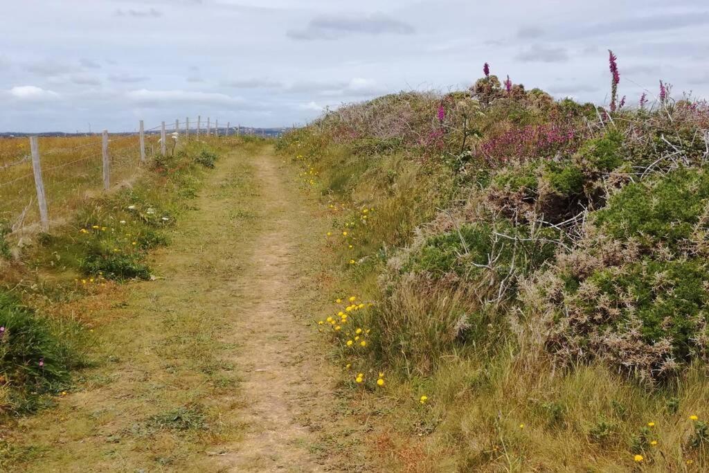 Farm Accommodation - The Lizard Peninsula, Cornwall Helston Luaran gambar