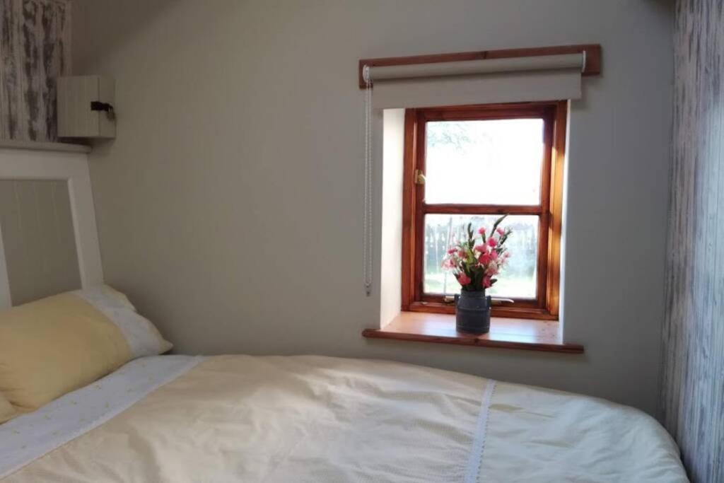 Farm Accommodation - The Lizard Peninsula, Cornwall Helston Luaran gambar
