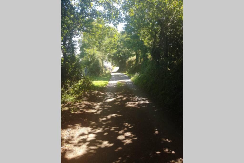 Farm Accommodation - The Lizard Peninsula, Cornwall Helston Luaran gambar