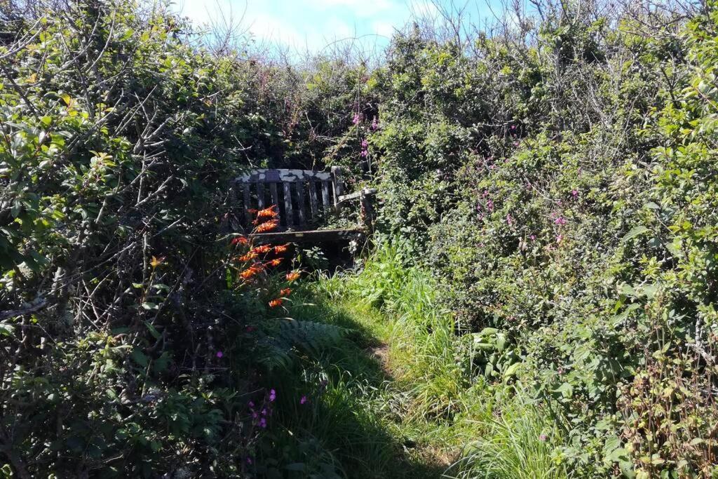 Farm Accommodation - The Lizard Peninsula, Cornwall Helston Luaran gambar