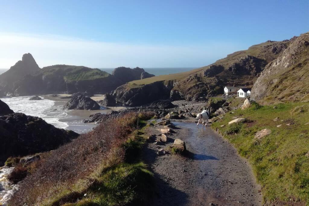 Farm Accommodation - The Lizard Peninsula, Cornwall Helston Luaran gambar