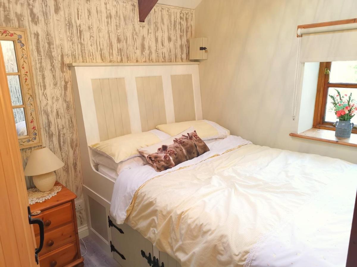 Farm Accommodation - The Lizard Peninsula, Cornwall Helston Luaran gambar