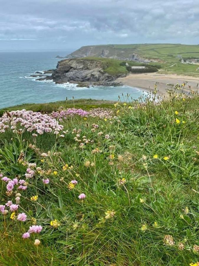 Farm Accommodation - The Lizard Peninsula, Cornwall Helston Luaran gambar