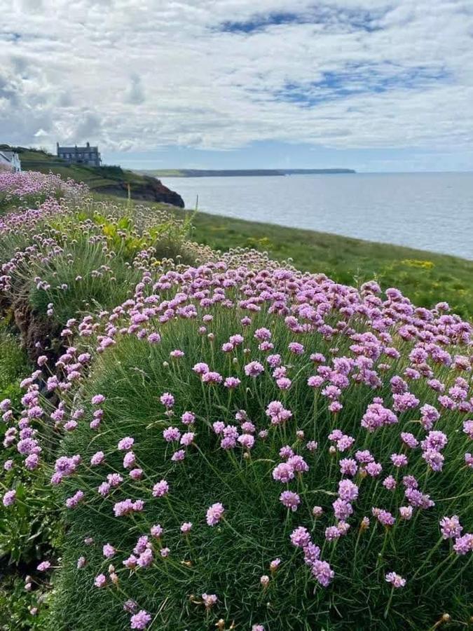 Farm Accommodation - The Lizard Peninsula, Cornwall Helston Luaran gambar