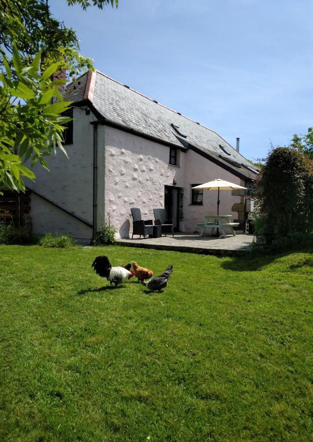 Farm Accommodation - The Lizard Peninsula, Cornwall Helston Luaran gambar