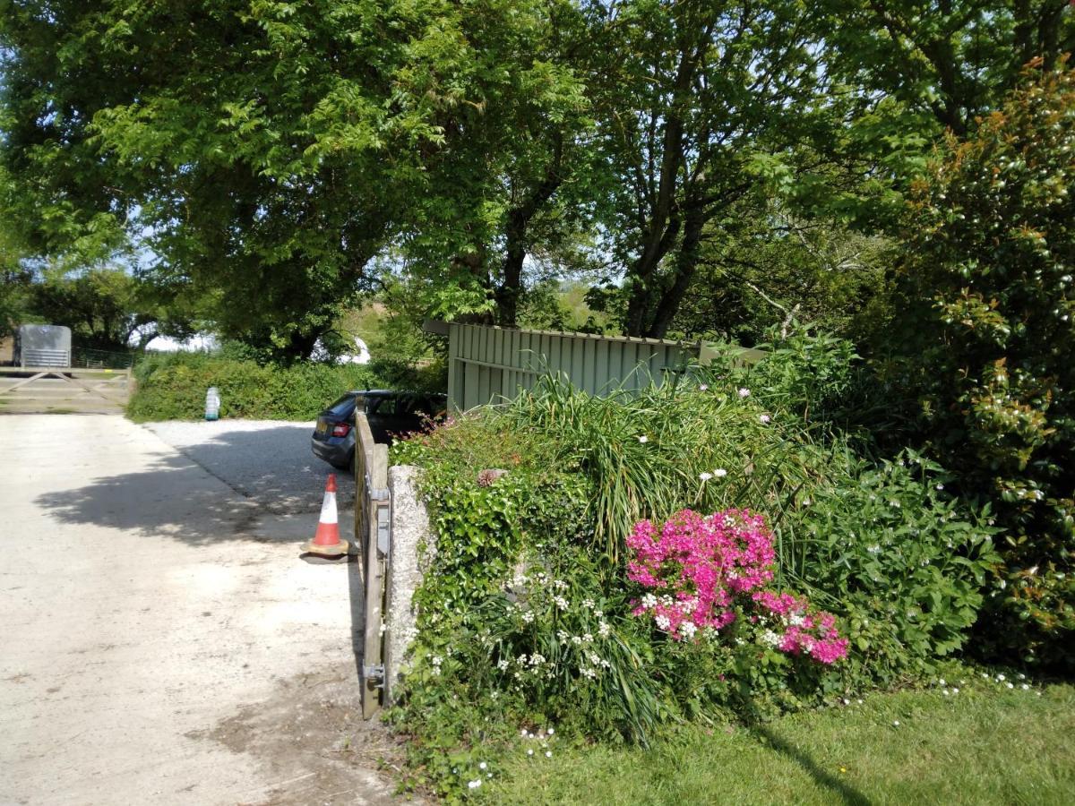 Farm Accommodation - The Lizard Peninsula, Cornwall Helston Luaran gambar